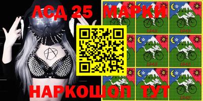 сатива Аргун