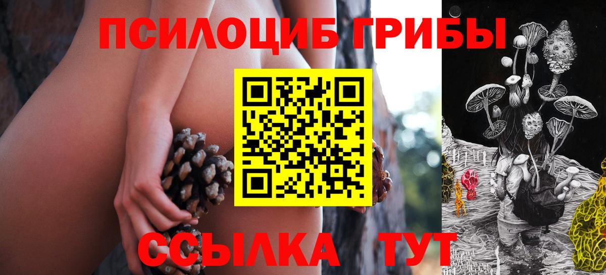 Галлюциногенные грибы мухоморы  наркота  Вход с VPN  Воткинск  Псилоцибиновые грибы мицелий 